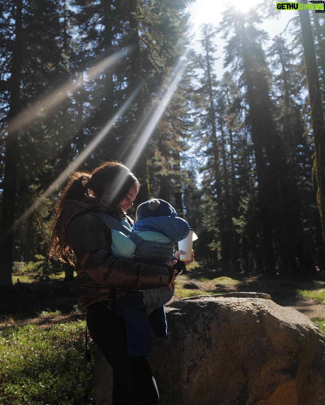 Vanessa Morgan Instagram - The most amazing few days in Mount Shasta, spent in the most beautiful forest I’ve ever seen 🧚🏾♀️. Connecting to nature, Love and the magic of all that is. Thankyou God Mount Shasta, California