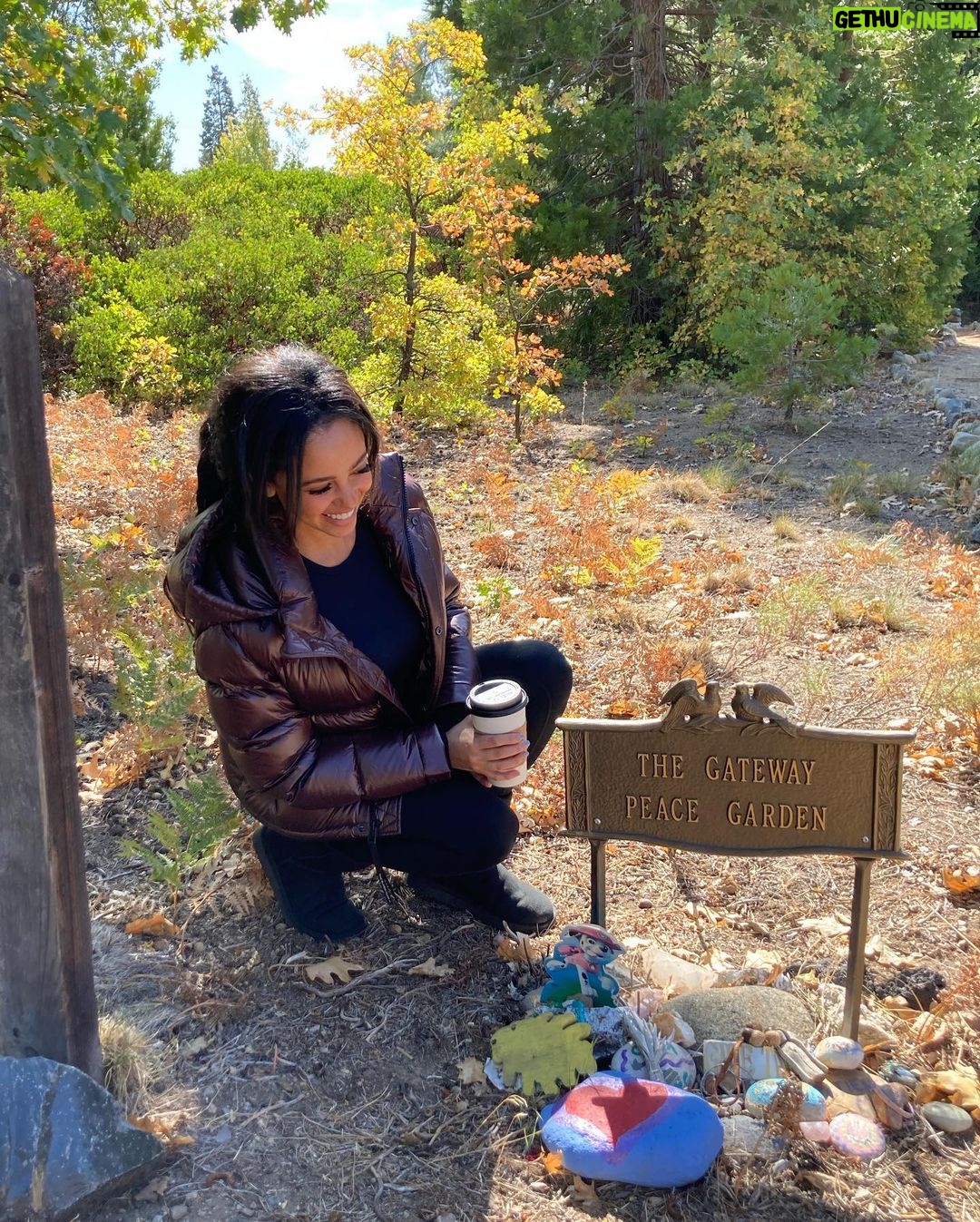 Vanessa Morgan Instagram - The most amazing few days in Mount Shasta, spent in the most beautiful forest I’ve ever seen 🧚🏾♀️. Connecting to nature, Love and the magic of all that is. Thankyou God Mount Shasta, California