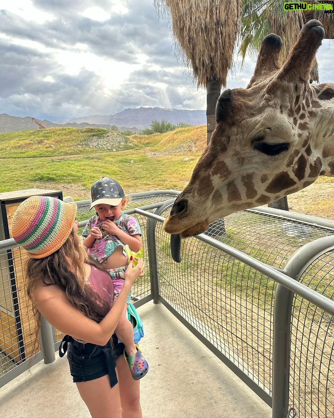 Vanessa Morgan Instagram - My baby boy is 3 today. Where is the time going? All I can say is Thank you God for the biggest blessing of my life. & To River, I’m eternally grateful your soul chose me to be your mommy in this lifetime. Love you Forever. 🤍