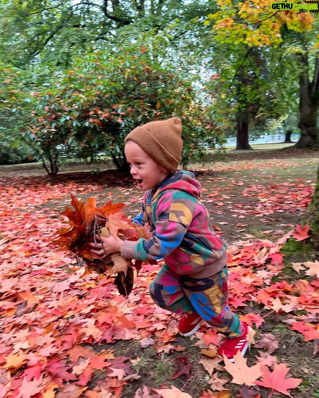 Vanessa Morgan Instagram - October Dump ๐งก ๐ ๐