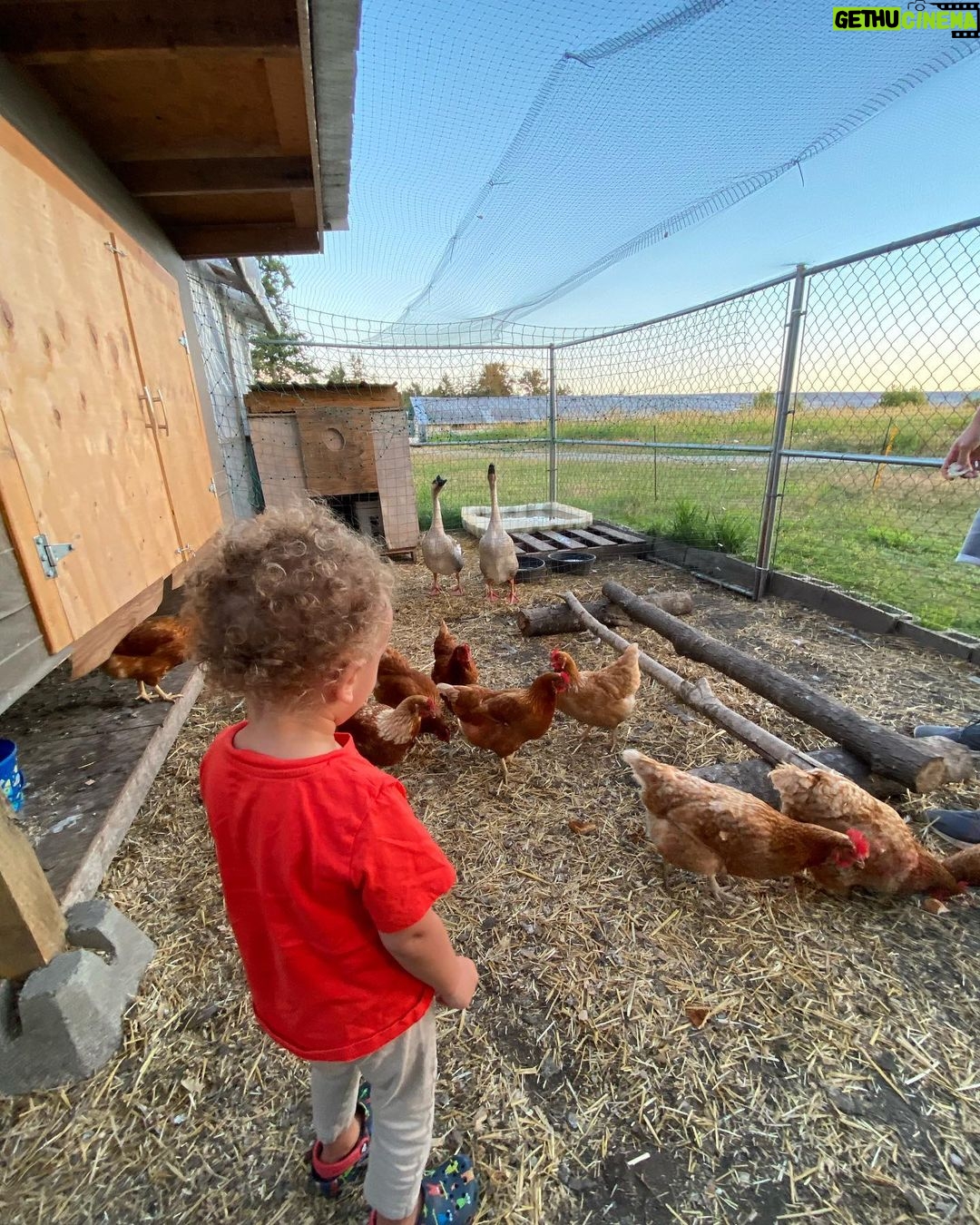Vanessa Morgan Instagram - 🐎’s & the bf’s farm 🐔🐄♥️🍯 🐝