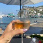 Vannessa Vasquez Instagram - Not gonna lie this double strike was making everything thic, my worries, my booty and my eyebrows! 😅 Glad to finally see a little bit of hope ! Cheers to my WGA friends congratulations on a good fight . my SAG-AFTRA members ! We got this 💪🏽