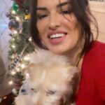 Vannessa Vasquez Instagram - Anyone else’s dog also hate the camera … 😆 Wishing you and your family a Merry Christmas 🎄 from Toby and Me 🎁🐶 #doggychristmas