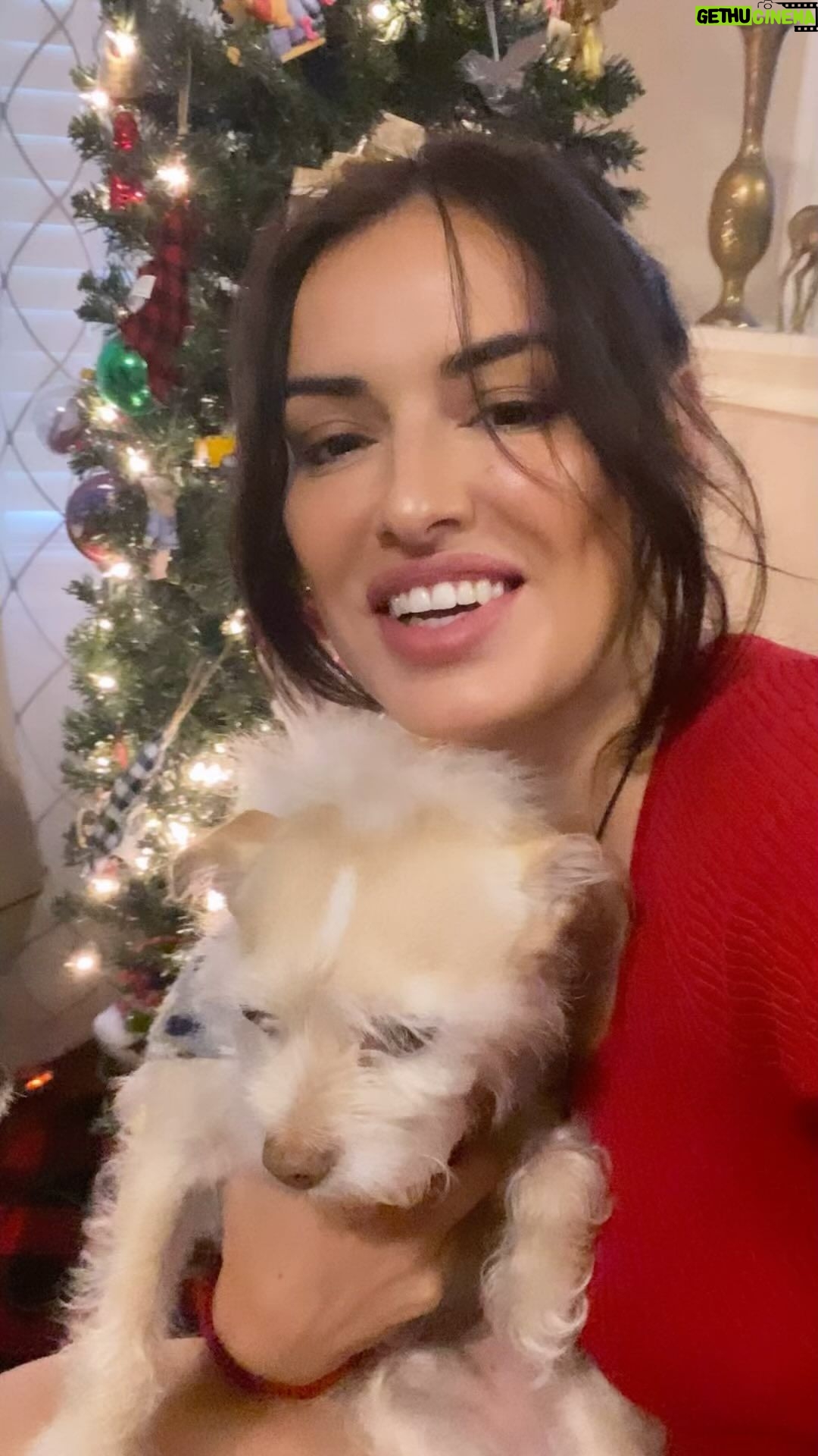 Vannessa Vasquez Instagram - Anyone elseโs dog also hate the camera โฆ ๐ Wishing you and your family a Merry Christmas ๐ from Toby and Me ๐๐ถ #doggychristmas
