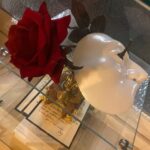 Vannessa Vasquez Instagram – Phantom of the Opera 🥀 in London 🇬🇧…. Absolutely breathtaking musical 🎭 I cried twice. 

I miss my theatre days back in Houston ♥️… 

 

#phantomoftheopera  #theatre #london🇬🇧 #uk #england Phantom of the Opera, His Majesty’s Theatre