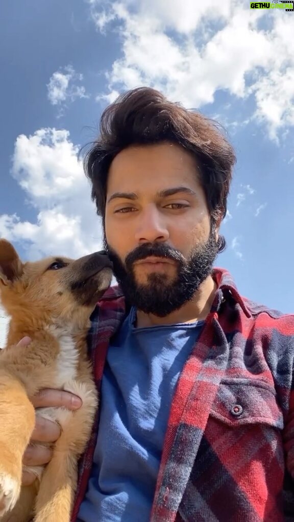 Varun Dhawan Instagram - Dogs of bhediya 🐺