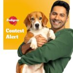 Varun Dhawan Instagram - Dha(wan) and only star in my life is joey 🐶 Make your dog a star, just like Joey, by entering the Pedigree contest! Take a photo or video of your dog catching the ball mid air and tag @pedigree_india to win 6 months of free Pedigree food! *Contest valid till November 19th 2023 #ContestAlert #VarunBowledOverbyPedigree #PedigreeCompleteAndBalancedNutrition