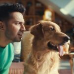 Varun Dhawan Instagram - Super thrilled to be the first Indian brand ambassador for @pedigree_india #VarunBowledOverByPedigree As a dog parent, I fully support properly crafted nutrition for them, and that’s why, with Pedigree’s 100% complete and balanced nutrition, we want your doggo to have stronger bones, muscles & shinier coat too, just like Buddy! Packed with 37 vital nutrients, you can also unlock their star potential. Try Pedigree now! #PedigreeCompleteAndBalancedNutrition