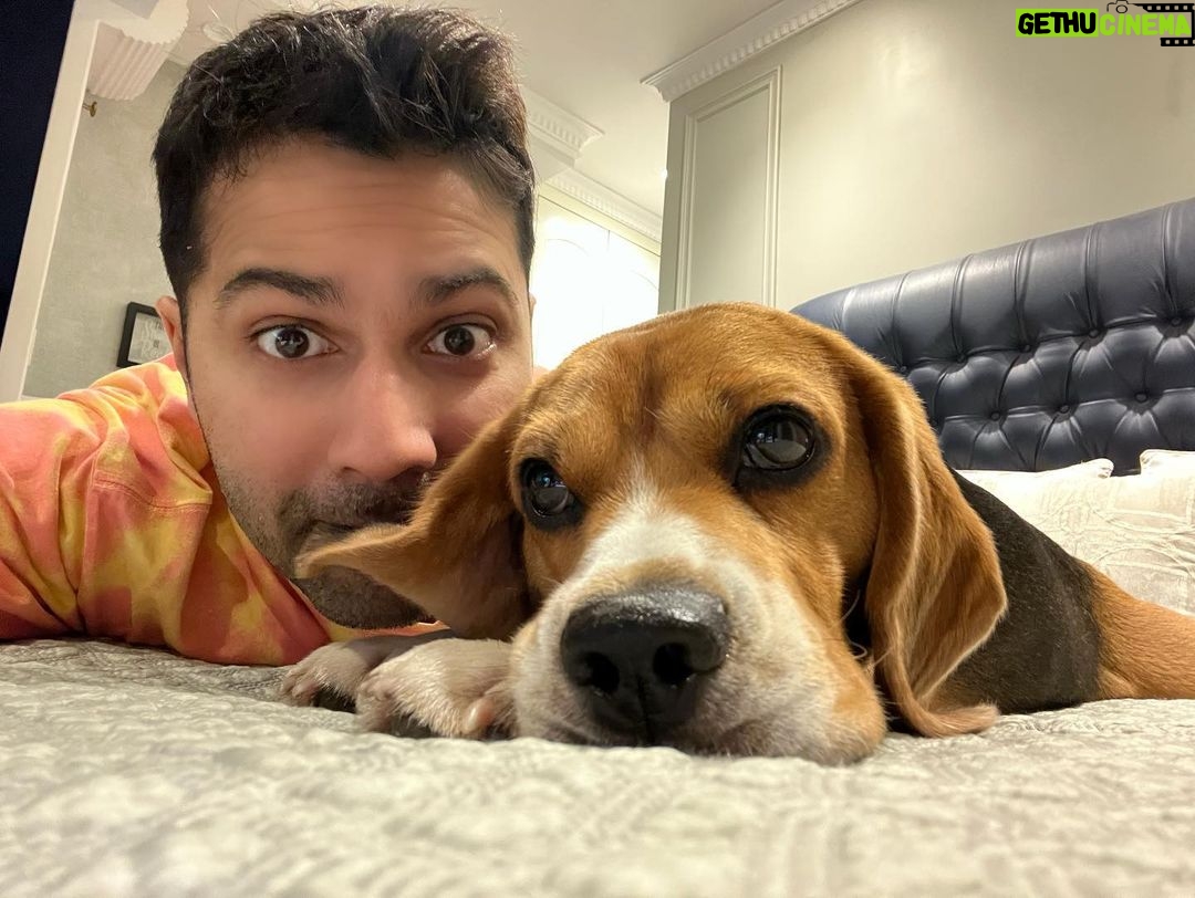Varun Dhawan Instagram - Sundayzzz #loveislove