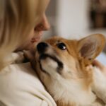 Varvara Shcherbakova Instagram - Нашей паре уже полтора месяца💞 Я так сильно люблю эту маленькую, вредную, мохнатую жёпку! К сожалению, я провожу с ней не так много времени, как хотелось бы мне и моему грызущему подростку( Но, когда мы встречаемся, мы обе прижимаем ушки от радости😌 Это моя первая «взрослая» собака: я сама её выбрала, привезла, трачу на неё кучу денег! Лечу, кормлю, ругаю, хвалю, учу забираться по лесенке и не писать на кровать. Я смогла постричь ей 8 когтей за 4 дня! Я нашла няню… Я каждый раз ухожу на работу с жутким чувством вины! Да, это тяжкая доля работающих матерей……… А тут вот @anngorrbacheva приехала к нам попить чаю и, между делом, пофоткать нас в привычной среде🥰 ЖДЁМ ВАШИХ ЛАЙКОВ! ГАВ🐾 Идеальная собака