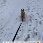 Varvara Shcherbakova Instagram - Наконец-то, господи, и мы в трЕнде!!! 🐾