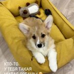 Varvara Shcherbakova Instagram - НАШ ПЕРВЫЙ РИЛС, ХОСПАДЕ😍😍😍