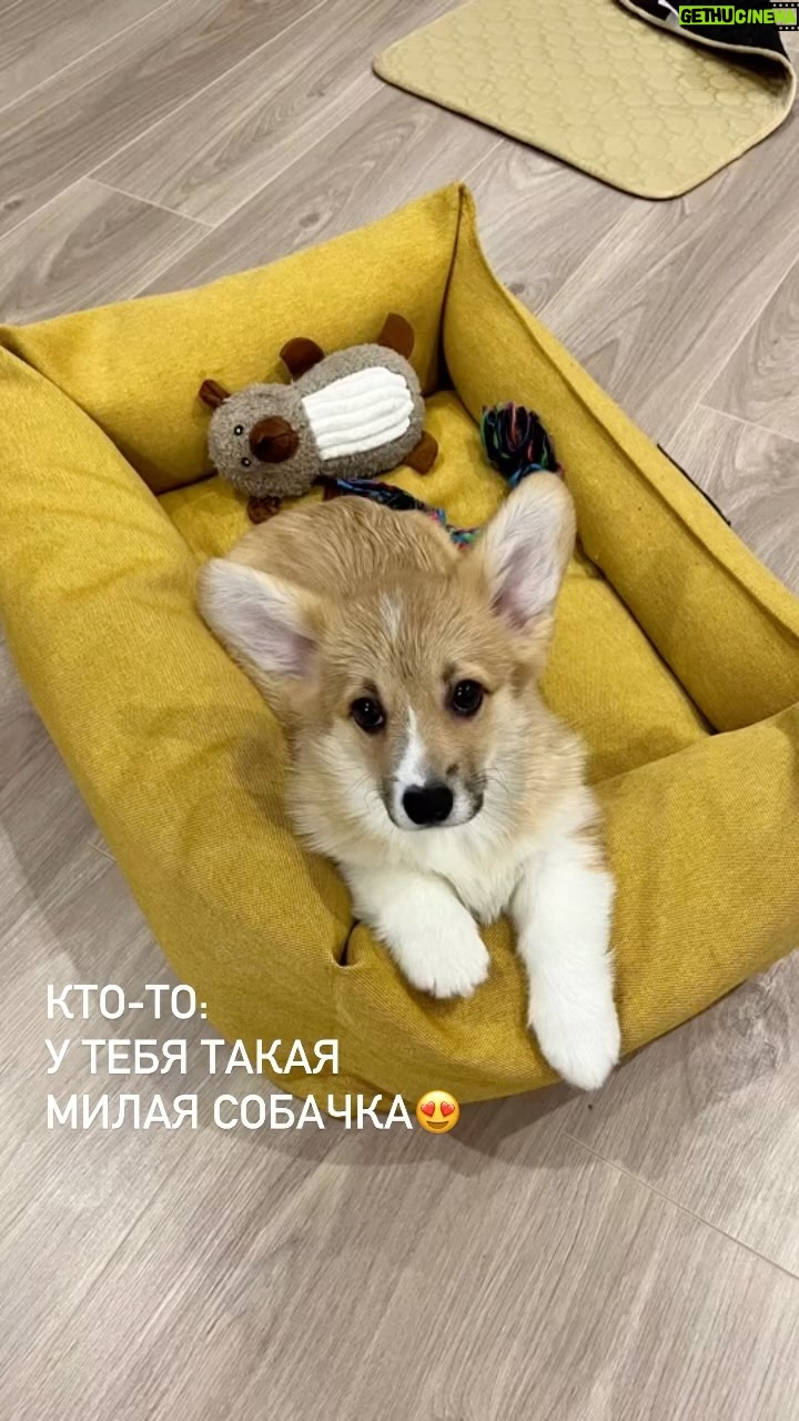 Varvara Shcherbakova Instagram - НАШ ПЕРВЫЙ РИЛС, ХОСПАДЕ😍😍😍