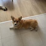 Varvara Shcherbakova Instagram – Невошедшее в сториз за последний месяц! Улыбаюсь всему тут)

Для ваших огонёчков!