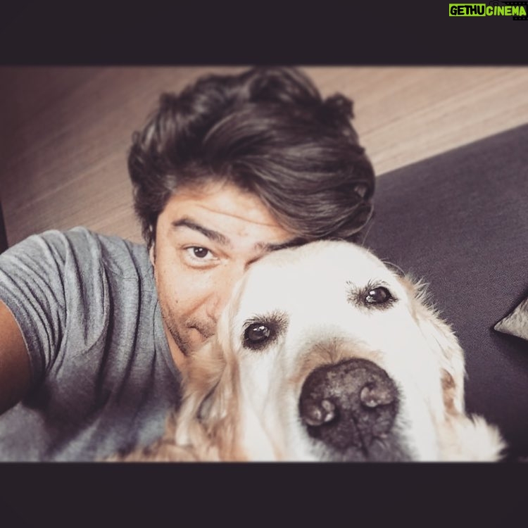 Vatan Şaşmaz Instagram - #zino #selfie #goldenretrieversofinstagram #goldenretriever