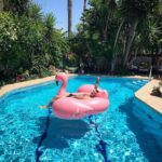 Vatan Şaşmaz Instagram – #herkeseiyipazarlar #flamingo #pazarkeyfi