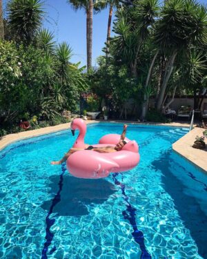 Vatan Şaşmaz Instagram - #herkeseiyipazarlar #flamingo #pazarkeyfi