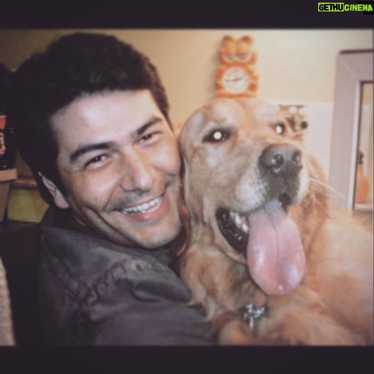 Vatan Şaşmaz Instagram - #tbt #zino #geçmişzamanolurki #missyou #throwback #throwbackthursday #goldensofinstagram #goldenretrieversofinstagram