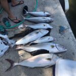 Vatan Şaşmaz Instagram – Vay anasini sayin seyirciler😁resmen denizi kuruttuk 😉balikkklllaaarrrrrrr 🎣 @mustafarahmantohma @deephumans @volkan_hepozel @alpkirsan @oltacicocuk #rasimadali #akya #amberjack #fish #fishing #jigging #spearfishing #arsuz #domuzburnu