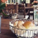 Vatan Şaşmaz Instagram - #birdsofinstagram #feedthebirds #kovacs #mylove #bilkentotel #hospitalitylife #misafirperver #savethebirds 🙏🏼👍🏼💯 Bilkent Otel ve Konferans Merkezi Ankara
