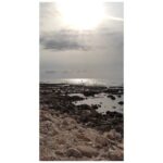 Vera Kotelnikova Instagram - Лонгрид про мою рабочую/туристическую поездку в Израиль: 1) Моя подруга @nastya_dollhouse сняла пилот проекта про русскоязычную комедию за пределами России и сейчас монтирует его (я там типа ведущая). Как живут люди, которые решили или были вынуждены уехать, почему они шутят и почему на русском языке. А если Вы богатый дядя или богатая тетя, и хотите стать спонсором проекта или выкупить его, напишите Насте, чтобы проект поскорее вышел 2) Спасибо @tlvhumorclub, а конкретно @sonya_rait и @goldade за организацию концертов, а @dessin.lissa за афишу. Мне очень понравилось выступать (почти) во всех городах Израиля:-) спасибо всем зрителям, которые пришли, мне было жутко уютно! 3) Отдельное спасибо за чудесность @cloudy_cloud @annalitik @ilia.kass @yevgenyvizel @lenavizel @a_shlykov @musya_kogan 4) Сходила на подкаст @yallabala "Че там у евреев", подпишитесь на их канал в ютьюбе, скоро будет выпуск со мной Делает его @levgoldort и @maks_sotnikov, и моя отдельная любовь @sh_fitzwalter 5) @annalitik делает площадку для импровизации. Если вы живёте в Израиле, не занимаетесь юмором, но хотели бы попробовать, то пишите Ане (никак готовиться к участию не надо) 6) На сама деле, у меня не получится тут рассказать про свою поездку, потому что это разговор минимум на три часа. Если коротко: мне было неожиданно, мне было интересно, мне понравилось. Кажется некоторые мои взгляды на жизнь изменились
