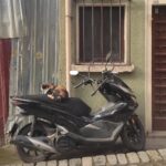 Vera Kotelnikova Instagram - Я почистила телефон перед поездкой в Израиль. И, перекидывая фоточки на компуктер, решила, что пора выложить фото с новогодней поездки в Стамбул. На НГ я планировала сидеть одна в квартире и плакать. Но за 3 дня до мероприятия мне позвонила самая чудесная из Вера @v_zotova и предложила идею получше: спонтанно поехать в Стамбул. И гад, как же я рада, что она это сделала!