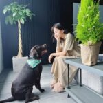 Veronica Ngo Instagram - The holiday spirit is here 🌲❤️ #withyoda