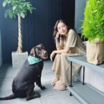 Veronica Ngo Instagram - The holiday spirit is here 🌲❤️ #withyoda