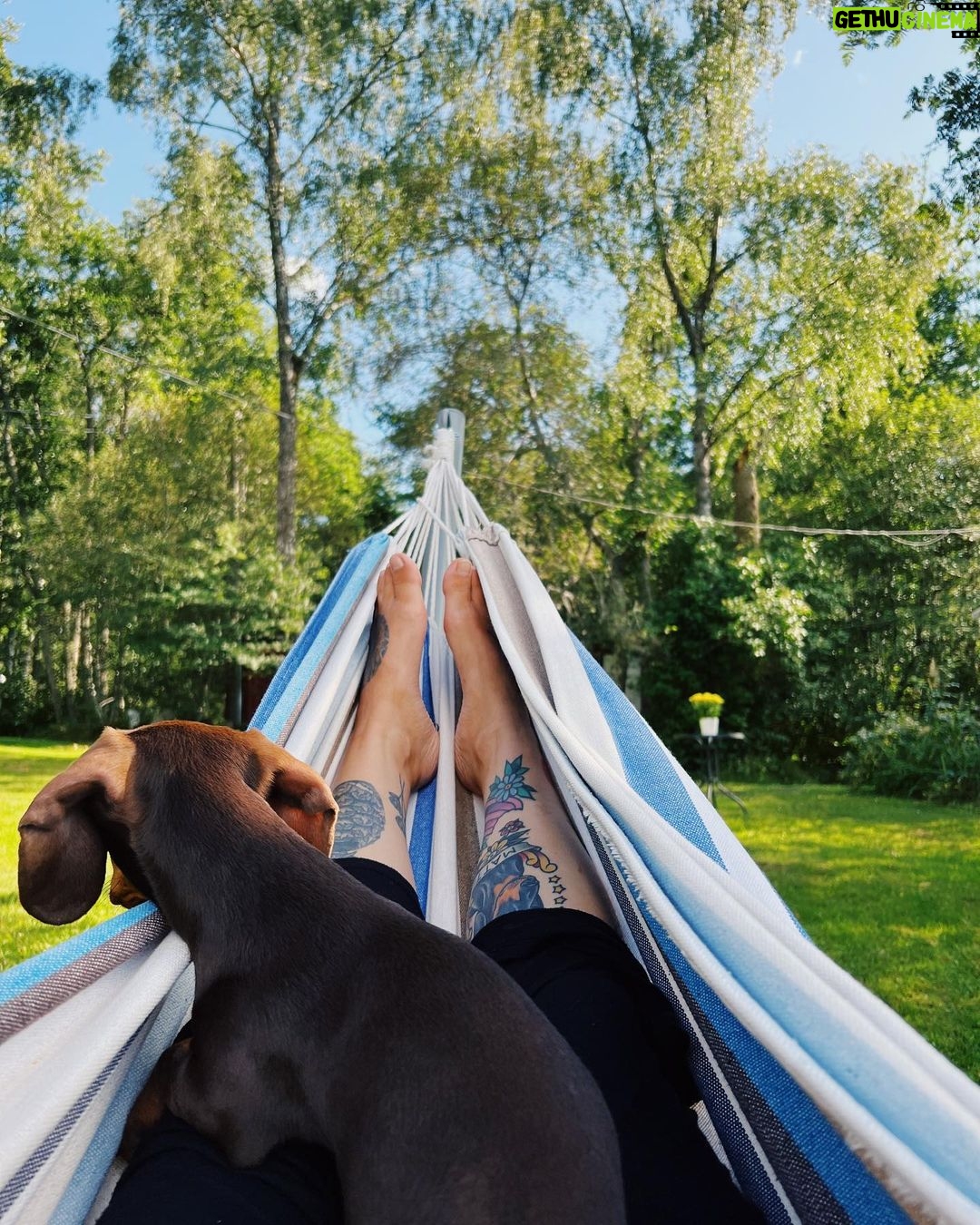 Veronica Verho Instagram - Paluu Suomeen on sujunu aika kivasti. Hyppäsin aikalailla suoraan autoon ja hurautin mökille Kustaviin. Käytiin Jeremiaksenluolilla ja tehtiin 80-luvun suosikkijälkkäri banana split. Nyt jatkan pötköttelyä riippukeinussa bye! 💃🏼