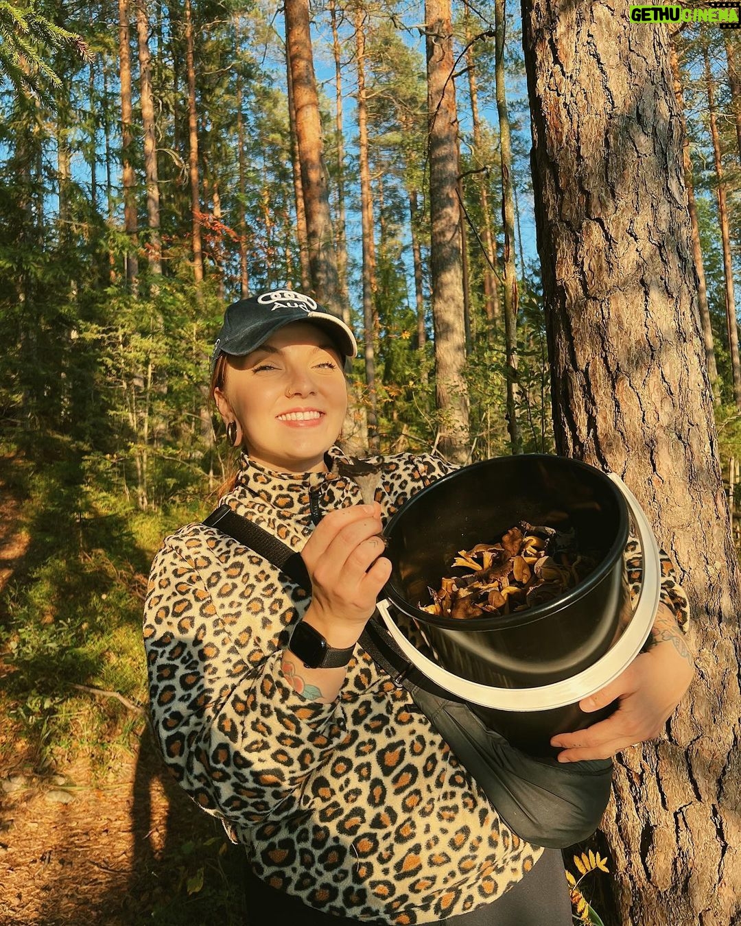 Veronica Verho Instagram - NO NYT LÖYTY !!!! Mustatorvisieniä on oikeasti maailman vaikein löytää ja siis voi herranjumala sitä onnen määrää kun niitä oli yhtäkkiä ämpärissä. Oikeesti sienestys BEST EVÖ. 🍄