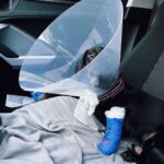 Veronica Verho Instagram - Hyvä meininki täällä! Meille kävi nimittäin näin: viikonloppuna makasin sohvalla ja huomasin yhtäkkiä verta sohvassa ja matoissa. Riensin äkkiä vanhemman koiran luokse, jotenkin intuitio sanoi et hälle on jotain sattunut. Kynsi oli lähtenyt KOKONAISENA irti ja tästä syystä tietysti vuoti verta. En tiedä vieläkään miten kynsi lähti irti ja koira ei inahtanutkaan kun kynsi irtosi. Itse tietysti pelästyin eniten tilannetta. Seuraavana päivänä eläinlääkäriin, rauhoitettiin, tarkastettiin ja saatiin kipulääkettä. Tassu pitää suojata jokaiselle lenkille, joten kävin ostamassa vauvojen sukkia tähän. 😂 Nyt Matti painaa töttörö päässä seuraavat pari viikkoa. Lauantaina suunnattiin ystävän synttäreille ja tuliaisena sieltä kannoin kotiin flunssan. Oon yrittäny kaikilla mahdollisilla tavoilla väistellä pöpöjä lähiaikoina, mutta epäonnistun siinä näköjään joka ikinen vuosi. EIKÄ AUTTANU VAIKKA JOKA PÄIVÄ SÖIN SINKKIÄ. 😂 Tuli silti perkule. Nyt me ollaan kaikki flunssassa ja yhden päässä töttörö. Yksi hyppii pitkin seiniä (ei Juhani) ja oon yrittäny keksiä kaikki maailman keinot purkaa sitä. Leikkinyt oman jaksamisen mukaan, piilottanut nameja, pakastanut ruokia, antanut paljon luita. 😂 Toiselle sitonu vauvan sukkia ja muovipusseja tassuun maalarinteipillä. Sairastelun iloina on toiminu uus Super Mario Wonder SAIRAAN HYVÄ PELI!!!!!!!!! Ja paahtoleipä pelkällä voilla. Best.