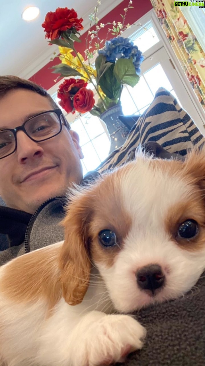 Victor Travagliante Instagram - Maverick taking flight (like his namesake) for the first time - our baby dog growing up quick 🐶 @mckenzienmitchell
