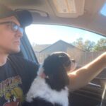 Victor Travagliante Instagram - I woke up and thought to myself - self you need post more pictures with the pups @cavmillieandmav