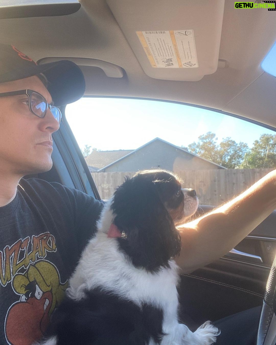 Victor Travagliante Instagram - I woke up and thought to myself - self you need post more pictures with the pups @cavmillieandmav