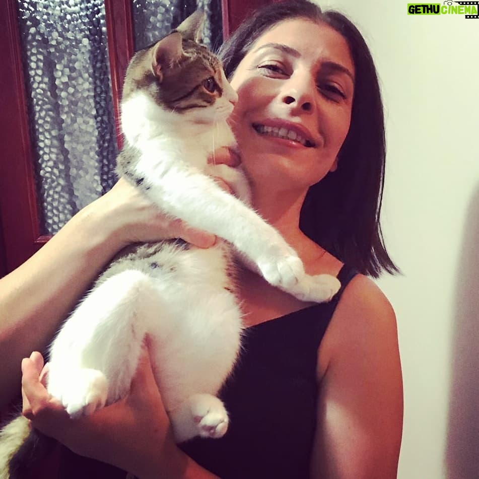 Vildan Vatansever - 1.1K Likes - Aşksın sen AŞK AŞK 🐱💋 Palaşurkam benim, yavrucuğum 🐈💕💋💋💖 #hayvansevgisi #kedi #cat #dog #pet #pets #çocuk #anne #sevgi #aşk #love #veteriner #sağlık #pazartesi #tatil #istirahat #istanbul #istanbulprovince #satinalmasahiplen #mutluluk #hayat #sevinç #neşe #iyiki #iyikivarsın #dünya #güzel #şirin #4ekimdünyahayvanlarıkorumagünü🐕🐶🐩🐈🐱🐀🐁🐭🐹🐢🐇🐰🐓🐔🐣🐤🐥🐦🐏🐑🐐🐺🐃🐂🐄🐮🐴🐗🐖🐷🐽🐸🐍🐼🐧🐘🐨🐒🐵🐆🐯🐻🐫🐪🐊🐳🐋🐟🐠🐡🐙🐚🐬🐌🐛🐜🐝🐞🐲🐉🐾🐞🙆🙇