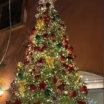 Virgínia Wanderley Instagram - Gostaram do meu natal em família? 🎄🎅🏼