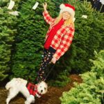 Virginia Madsen Instagram – Here’s what Mom taught me. When times are good it’s easy to be thankful but when times are hard, have Christmas Joy anyway. Being thankful got us through and I don’t know how she did it. Love you Mombey. #christmas #thankful and I love you St. Nick @narcissusholmes