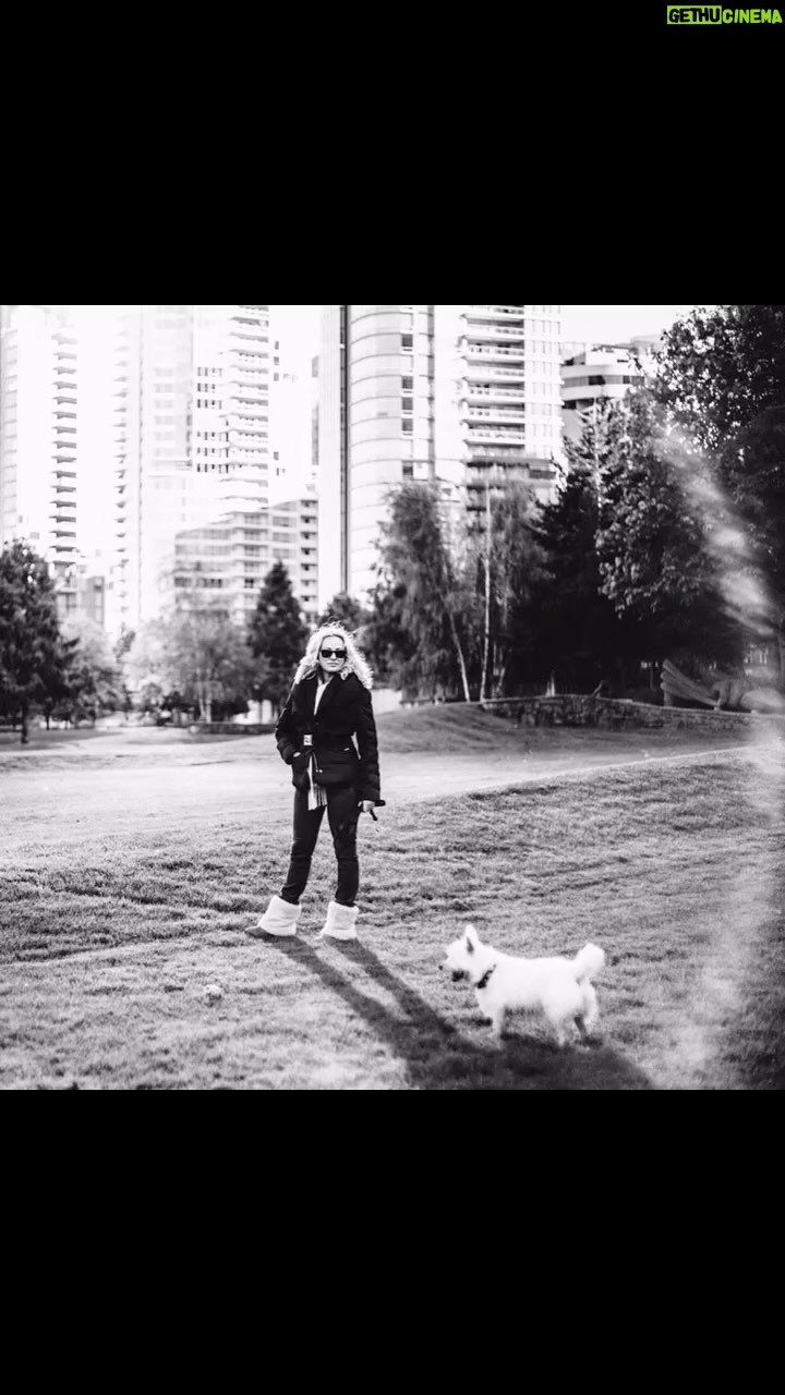 Virginia Madsen Instagram - Miss our Star. Star of the show. Queen of Toronto. Best in all parks. There will never be another. Where ever you are, may there be a beach and carrots.