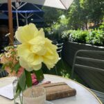 Virginia Trioli Instagram - Friday morning, glorious sunshine. Where else would you rather be? #bourkestreet #melbourne @grossiflorentino