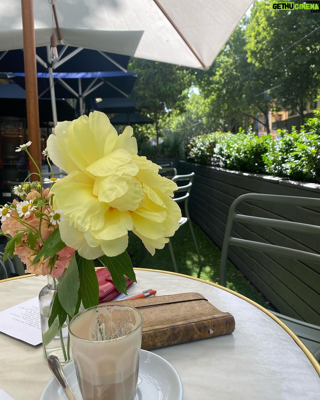 Virginia Trioli - 1.2K Likes - Friday morning, glorious sunshine. Where else would you rather be? #bourkestreet #melbourne @grossiflorentino