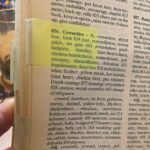 Virginia Trioli Instagram - Who Post It-notes a Roget’s?? 🤯 #thingsyoufind