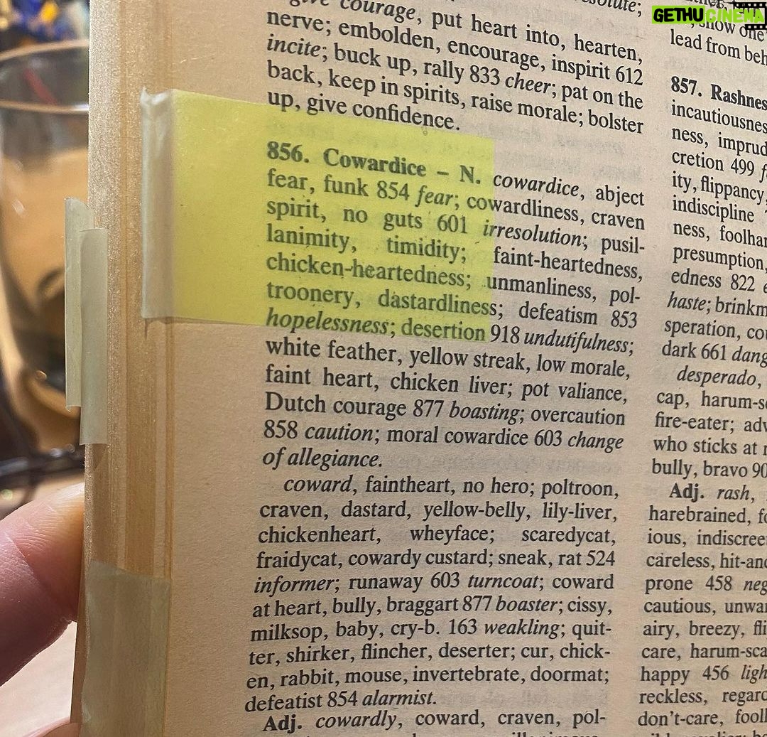 Virginia Trioli Instagram - Who Post It-notes a Roget’s?? 🤯 #thingsyoufind