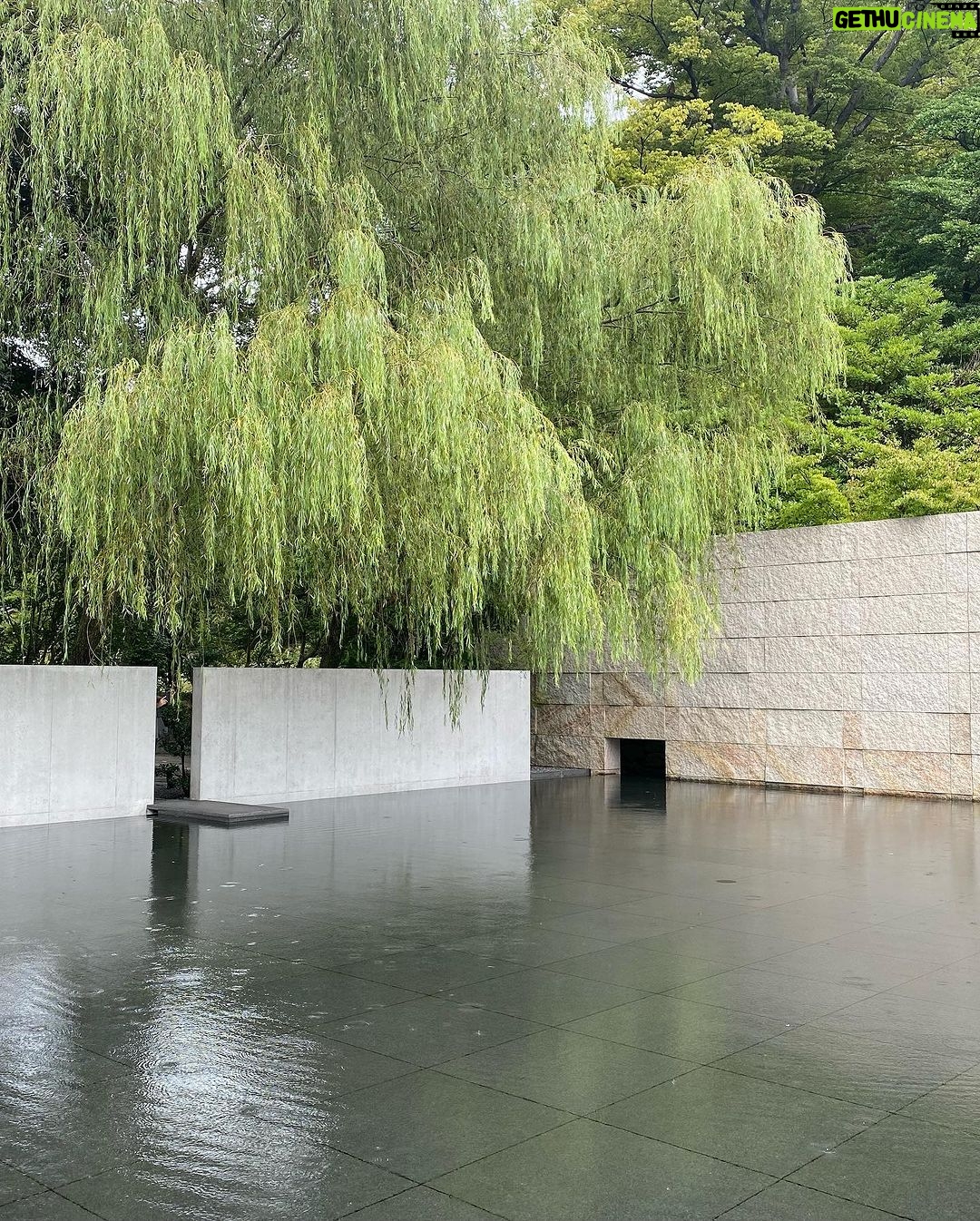 Virginia Trioli - 1.6K Likes - The last of the Japan glimpses: knives and tempura at Kyoto’s Nishiki market; the exquisite Suzuki Zen museum in Kanazawa; glassware I should have bought at Jomo Kogen station; standout yakitori - ginkgo nuts and chicken heart - at Spainzaka Toriko, Tokyo; moments at Meiji Park; things I liked: something in the bag at my old, old haunt, @yohjiyamamoto.tokyo .
We barely grazed the surface. 🇯🇵 #japan #travels
