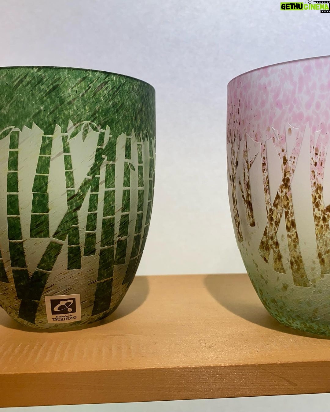 Virginia Trioli - 1.6K Likes - The last of the Japan glimpses: knives and tempura at Kyoto’s Nishiki market; the exquisite Suzuki Zen museum in Kanazawa; glassware I should have bought at Jomo Kogen station; standout yakitori - ginkgo nuts and chicken heart - at Spainzaka Toriko, Tokyo; moments at Meiji Park; things I liked: something in the bag at my old, old haunt, @yohjiyamamoto.tokyo .
We barely grazed the surface. 🇯🇵 #japan #travels