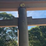 Virginia Trioli Instagram - The last of the Japan glimpses: knives and tempura at Kyoto’s Nishiki market; the exquisite Suzuki Zen museum in Kanazawa; glassware I should have bought at Jomo Kogen station; standout yakitori - ginkgo nuts and chicken heart - at Spainzaka Toriko, Tokyo; moments at Meiji Park; things I liked: something in the bag at my old, old haunt, @yohjiyamamoto.tokyo . We barely grazed the surface. 🇯🇵 #japan #travels Melbourne, Victoria, Australia
