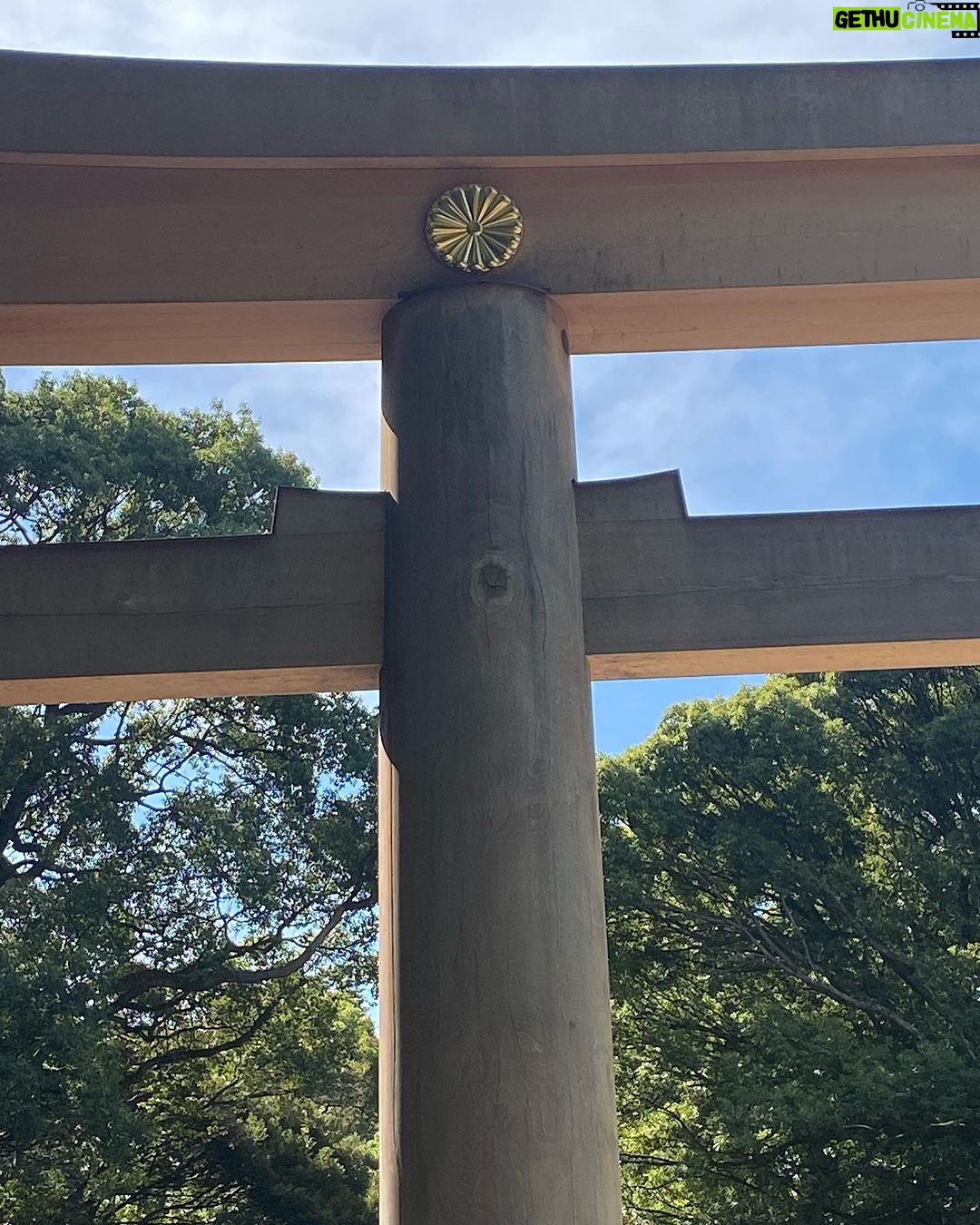 Virginia Trioli - 1.6K Likes - The last of the Japan glimpses: knives and tempura at Kyoto’s Nishiki market; the exquisite Suzuki Zen museum in Kanazawa; glassware I should have bought at Jomo Kogen station; standout yakitori - ginkgo nuts and chicken heart - at Spainzaka Toriko, Tokyo; moments at Meiji Park; things I liked: something in the bag at my old, old haunt, @yohjiyamamoto.tokyo .
We barely grazed the surface. 🇯🇵 #japan #travels