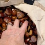 Virginia Trioli Instagram - The King Valley chestnuts have arrived! A huge bloody bag of them, collected by my son and his mates at our friend Helen’s farm. Am quickly boiling up a few to taste, and then Galician chestnut and ham soup and the hilarious French dessert folly Mont Blanc to follow - stay tuned!! #autumn #autumncooking #chestnuts #kingvalley #victoria #visitvictoria #home #homecooking #threeingredients #virginiatrioli Melbourne, Victoria, Australia