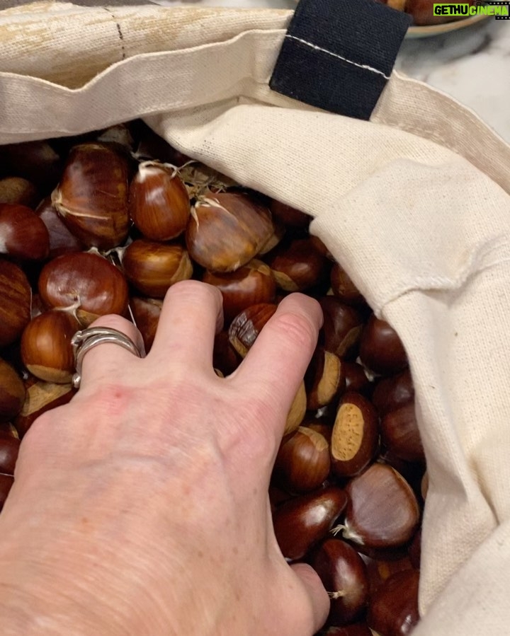 Virginia Trioli Instagram - The King Valley chestnuts have arrived! A huge bloody bag of them, collected by my son and his mates at our friend Helen’s farm. Am quickly boiling up a few to taste, and then Galician chestnut and ham soup and the hilarious French dessert folly Mont Blanc to follow - stay tuned!! #autumn #autumncooking #chestnuts #kingvalley #victoria #visitvictoria #home #homecooking #threeingredients #virginiatrioli Melbourne, Victoria, Australia