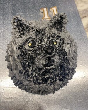 Virginia Trioli Instagram - Marco the 14 month old Keeshond is on the chopping block for Addison’s 11th birthday party tonight.
For those who know of my … um … frustrations with this twinkly ball of fluff, can I emphasise it was not MY idea to make a likeness that would end up with a knife in it … that was all Addison. 😱
In truth, he’s turning out to be a very sweet dog - and an exceptionally sweet cake. I think Cora knows she dodged a bullet here …(BTW Pretty proud of the piping work on this one but black cakes are very hard to photograph!)
Happy birthday my darling boy. #birthdaycake #baking #cakedecorating #keeshond #keeshondsofinstagram #family #dogsofinstagram #marco #cora