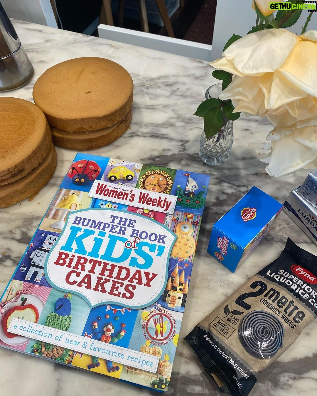 Virginia Trioli - 1.5K Likes - Cake No. 11 for Master Addison. Stay tuned for the reveal - after years of Pokémon characters, and diggers, and Ninjago cakes, one of these audience members is going to feature as the star of this year’s birthday creation … should make cutting it a bit confronting … 😬
More soon … #cakedecorating #birthdaycake #keeshond #keeshondsofinstagram #womensweeklybirthdaycakebook #melbourne #love #family #home